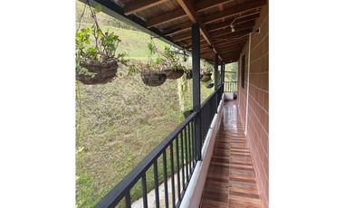 Vendo extraordinaria casa finca en San Vicente Ferrer