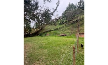 Vendo extraordinaria casa finca en San Vicente Ferrer