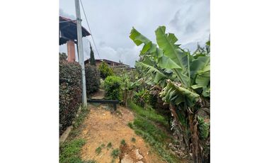 Vendo extraordinaria casa finca en San Vicente Ferrer