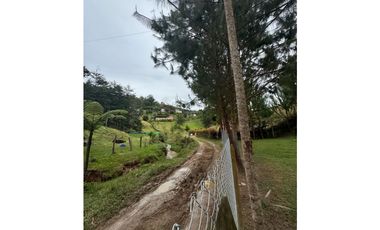 Vendo extraordinaria casa finca en San Vicente Ferrer