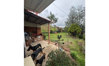 Vendo extraordinaria casa finca en San Vicente Ferrer