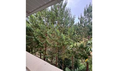 Vendo extraordinaria casa finca en San Vicente Ferrer