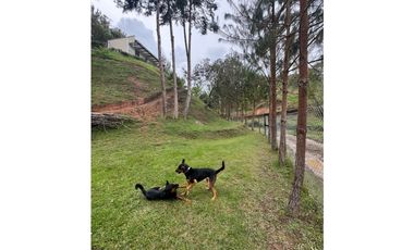 Vendo extraordinaria casa finca en San Vicente Ferrer
