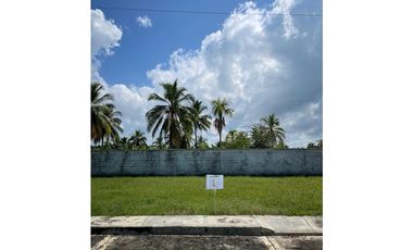 SE VENDE LOTE EN MUNICIPIO DE MOÑITOS CÓRDOBA