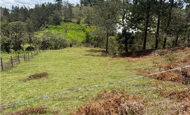 ESPECTACULAR LOTE EN VENTA SAN VICENTE FERRER, ORIENTE DE ANTIOQUIA