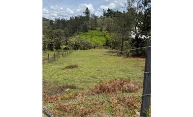 ESPECTACULAR LOTE EN VENTA SAN VICENTE FERRER, ORIENTE DE ANTIOQUIA