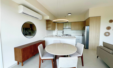 ALQUILER APARTAMENTO EN SANTA MARIA PH VILLAGE RESIDENCES (10)