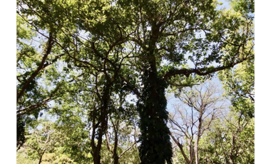 TERRENO / ALTOS DEL MARIA / 2455M / MAYORMENTE PLANO / CLIMA FRESCO