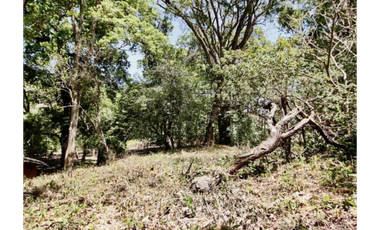 TERRENO / ALTOS DEL MARIA / 2455M / MAYORMENTE PLANO / CLIMA FRESCO