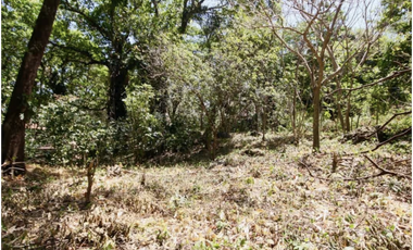 TERRENO / ALTOS DEL MARIA / 2455M / MAYORMENTE PLANO / CLIMA FRESCO