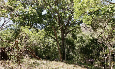 TERRENO / ALTOS DEL MARIA / 2455M / MAYORMENTE PLANO / CLIMA FRESCO