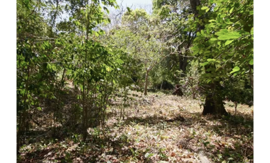 TERRENO / ALTOS DEL MARIA / 2455M / MAYORMENTE PLANO / CLIMA FRESCO