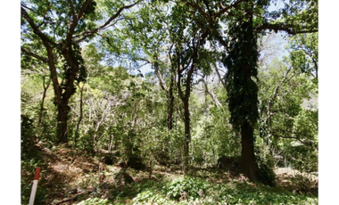 TERRENO / ALTOS DEL MARIA / 2455M / MAYORMENTE PLANO / CLIMA FRESCO