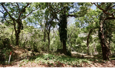 TERRENO / ALTOS DEL MARIA / 2455M / MAYORMENTE PLANO / CLIMA FRESCO