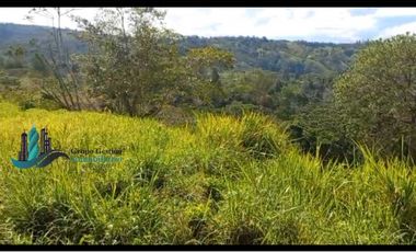 SE VENDEDE FINCA 2.645---- M2