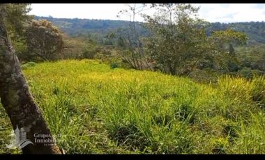 SE VENDEDE FINCA 2.645---- M2