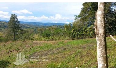 SE VENDEDE FINCA 2.645---- M2
