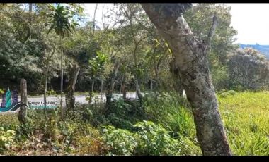 SE VENDEDE FINCA 2.645---- M2
