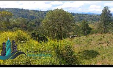 SE VENDEDE FINCA 2.645---- M2
