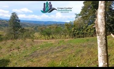 SE VENDEDE FINCA 2.645---- M2