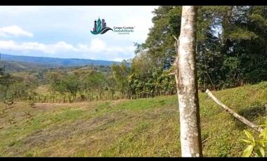 SE VENDEDE FINCA 2.645---- M2