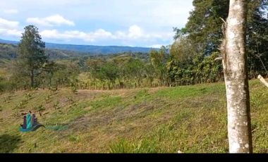 SE VENDEDE FINCA 2.645---- M2