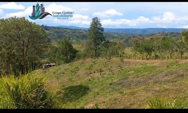 SE VENDEDE FINCA 2.645---- M2