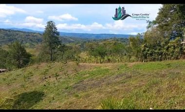 SE VENDEDE FINCA 2.645---- M2
