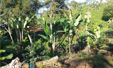 SE VENDEDE FINCA 2.645---- M2
