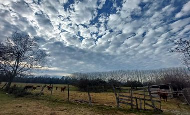 Casa en venta en LONGAVÍ