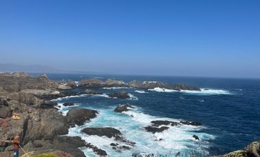 Local comercial en venta en LA LIGUA