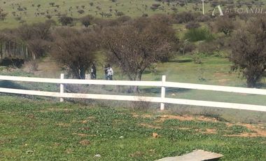 Sitio en Venta en Los Maitenes