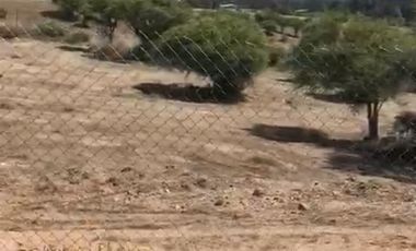 Sitio en Venta en Los Maitenes