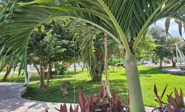 Casa en renta nueva  de una planta Gran Santa Fe Norte, Mérida Yucatán