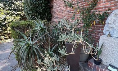 Se renta Suite solo para ejecutivo HR275