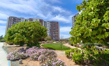 SE ARRIENDA AMPLIO DEPARTAMENTO EN ALTO HACIENDA, COQUIMBO