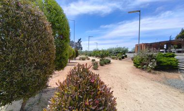 SE ARRIENDA AMPLIO DEPARTAMENTO EN ALTO HACIENDA, COQUIMBO