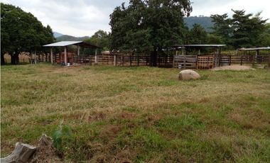 PRODUCTIVO RANCHO EN VILLACORZO