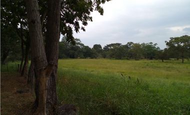 PRODUCTIVO RANCHO EN VILLACORZO