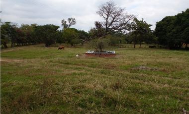 PRODUCTIVO RANCHO EN VILLACORZO