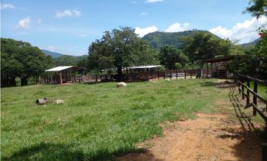 PRODUCTIVO RANCHO EN VILLACORZO