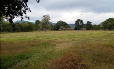 PRODUCTIVO RANCHO EN VILLACORZO