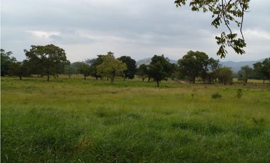 PRODUCTIVO RANCHO EN VILLACORZO