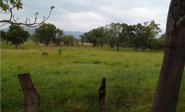 PRODUCTIVO RANCHO EN VILLACORZO