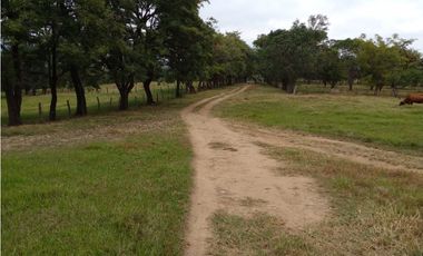 PRODUCTIVO RANCHO EN VILLACORZO