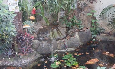 Casa en Palmira Tinguindin