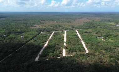 TERRENOS EN VENTA MOTUL NORTE, CARRETERA TELCHAC PUERTO.