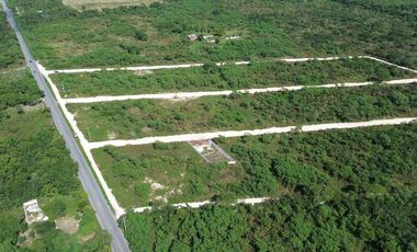 TERRENOS EN VENTA MOTUL NORTE, CARRETERA TELCHAC PUERTO.