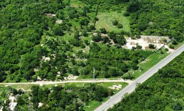 LOTES EN VENTA EN QUINTAS TIXPEHUAL.