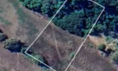 Parcela en venta en ARAUCO